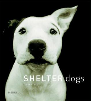 Hardcover Shelter Dogs Book