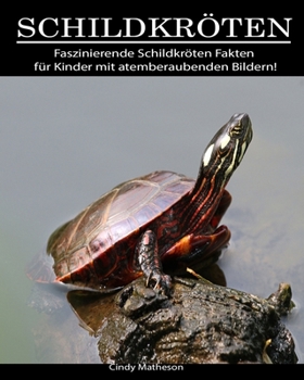 Schildkröten: Faszinierende Schildkröten Fakten für Kinder mit atemberaubenden Bildern! (German Edition)
