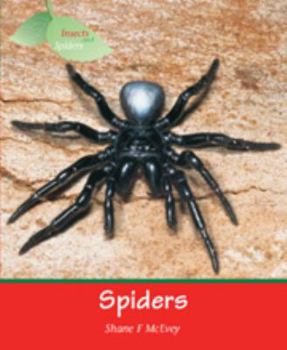 Library Binding Spiders (Insects) Book