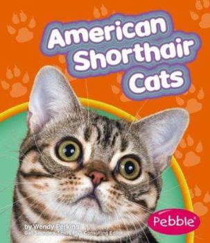 Library Binding American Shorthair Cats Book