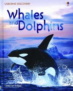 Hardcover Whales and Dolphins: Internet-Linked Book