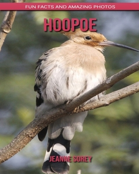 Hoopoe: Fun Facts and Amazing Photos