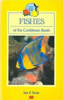 Paperback Fishes of the Caribbean Book
