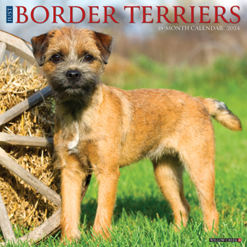Calendar Just Border Terriers 2024 12 X 12 Wall Calendar Book