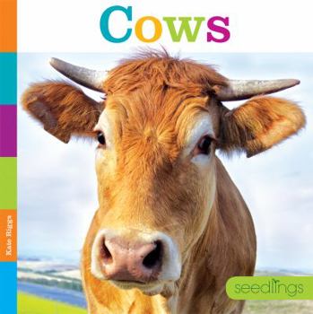 Paperback Seedlings: Cows Book