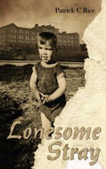 Paperback Lonesome Stray Book
