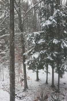 2020 Weekly Planner Winter Pretty Snowstorm 134 Pages: 2020 Planners Calendars Organizers Datebooks Appointment Books Agendas