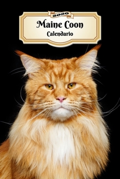 2020 Maine Coon Calendario: 107 Páginas | Tamaño A5 | Planificador Semanal | 12 Meses | 1 Semana en 2 Páginas | Agenda Semana Vista | Tapa Blanda | Gato (Spanish Edition)