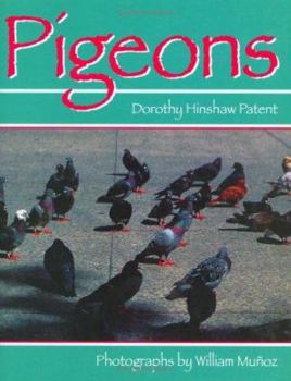 Hardcover Pigeons Book