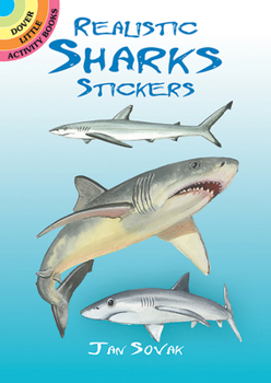 Paperback Realistic Sharks Stickers Book