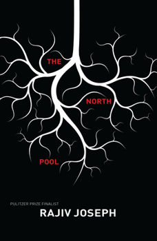 Paperback The North Pool Book