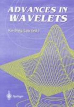Paperback Advances in Wavelets Book