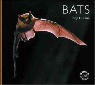 Paperback Bats Book