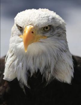 Paperback Eagle Composition Book: 8.5 X 11 Wide Ruled Line Paper 200 Pages (100 Sheets) Book