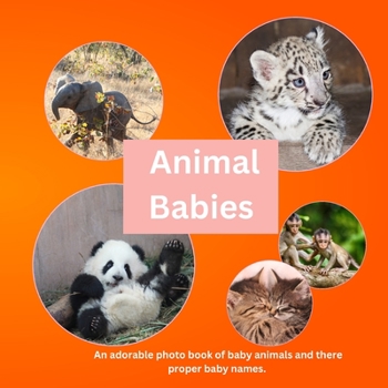 Paperback Animal Babies: An adorable Photo Book of Baby Animals and their Baby Names Book