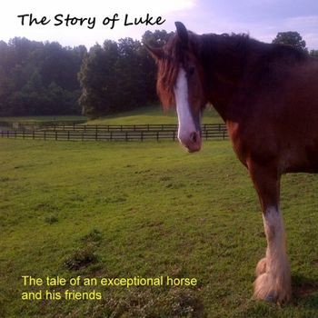 Paperback The Story of Luke Book