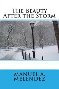 Paperback The Beauty After the Storm Book