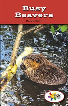 Paperback Busy Beavers Book