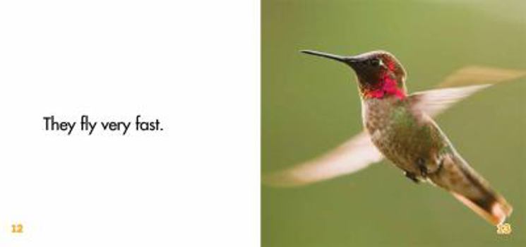 Itty Bitty Hummingbirds - Book  of the Itty Bitty Animals