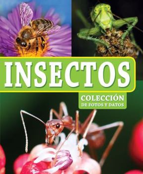 Hardcover Insectos [Spanish] Book