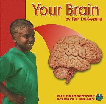 Hardcover Your Brain Book