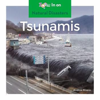 Library Binding Tsunamis Book