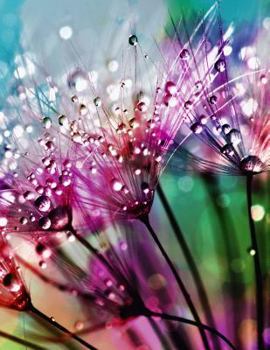 Paperback Journal: 160 Lined Pages - 8.5 x 11 Inches Book