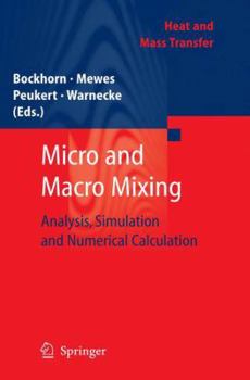 Paperback Micro and Macro Mixing: Analysis, Simulation and Numerical Calculation Book