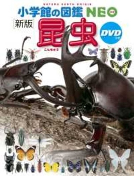 Hardcover Insects (New Edition) (Shogakukan No Zukan Neo) [Japanese] Book