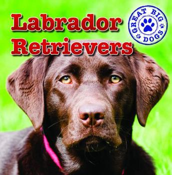 Labrador Retrievers - Book  of the Great Big Dogs