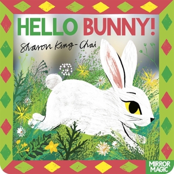 Paperback Hello Bunny!: An Easter Search-And-Find Mirror Book