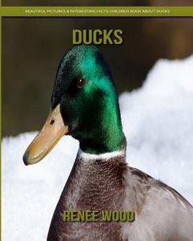 Paperback Ducks: Beautiful Pictures & Interesting Facts Children Book about Ducks Book