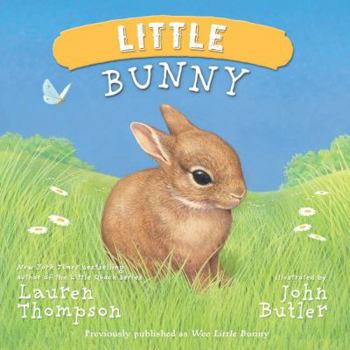 Wee Little Bunny - Book  of the Wee Little