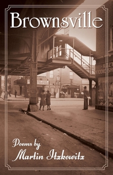 Paperback Brownsville Book