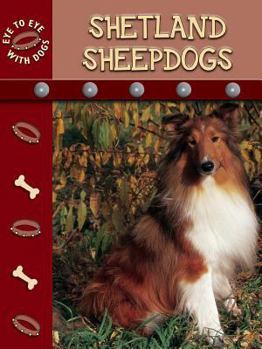 Library Binding Shetland Sheepdogs Book