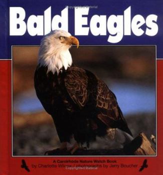 Hardcover Bald Eagles Book