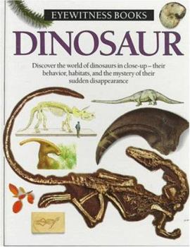 Hardcover Dinosaur Book