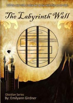 Paperback The Labyrinth Wall Book