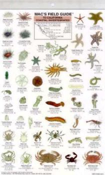 Paperback Mac's Field Guides: California Coastal Invertebrates Book