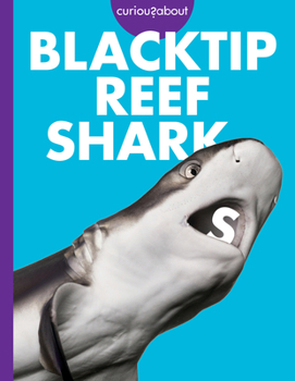 Paperback Curious about Blacktip Reef Sharks Book