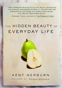 Hardcover The Hidden Beauty of Everyday Life Book