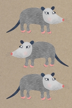 Notes: A Blank Isometric Graph Paper Notebook with Cute Possum Cover Art