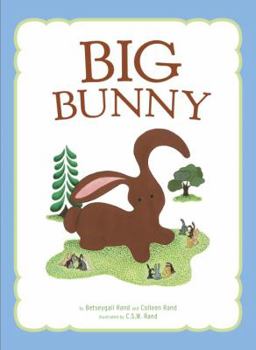 Hardcover Big Bunny Book