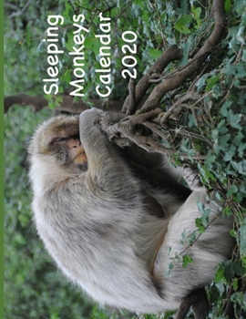 Sleeping Monkeys Calendar 2020