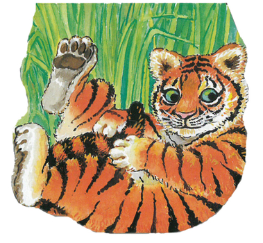 Board book Tiger Book