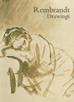 Paperback Rembrandt Drawings Book