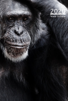 2020 A5 Diary Week To View Planner For All Occasions: | Year Planner For Business, Office, Home, University, College, School, Appointments,