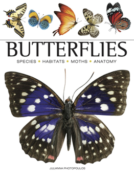 Paperback Butterflies: Beautiful Flying Insects Book
