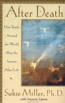 Paperback After Death: How People Around the World Map the Journey After Life Book