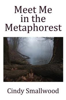 Paperback Meet Me in the Metaphorest Book